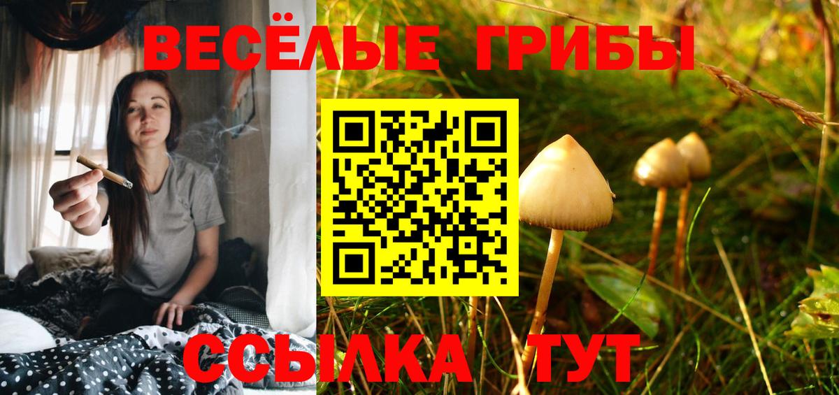 Шебекино  Псилоцибиновые грибы Psilocybine cubensis  Псилоцибиновые грибы Psilocybe  Вход с VPN 