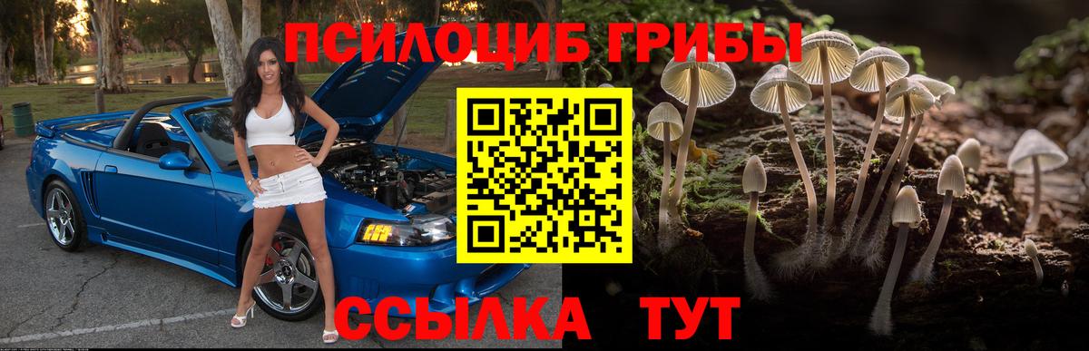 Псилоцибиновые грибы Cubensis Шебекино